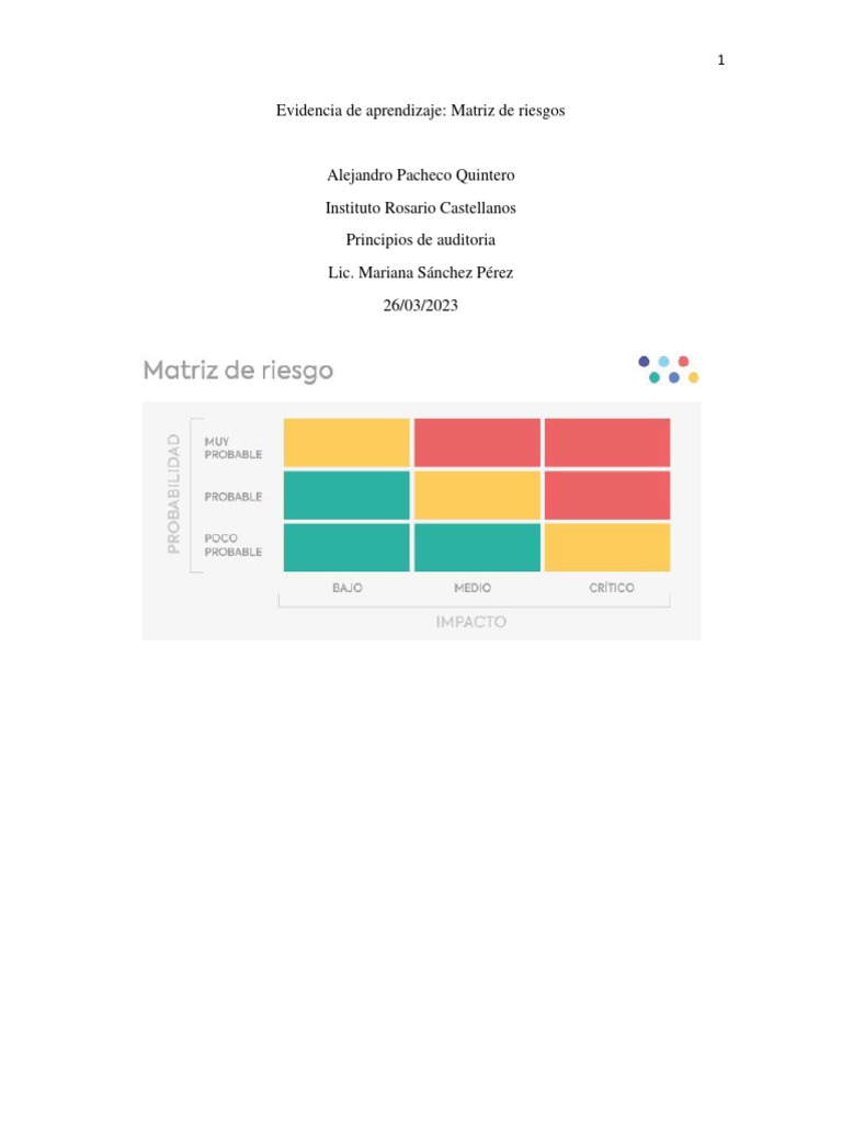 Matriz de Riesgos en Auditoría | PDF | Negocios