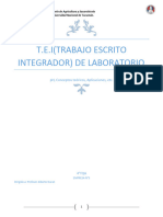 T.E.I de Laboratorio.