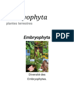 Embryophyta - Wikipédia