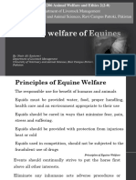 7-Care and Welfare of Equines