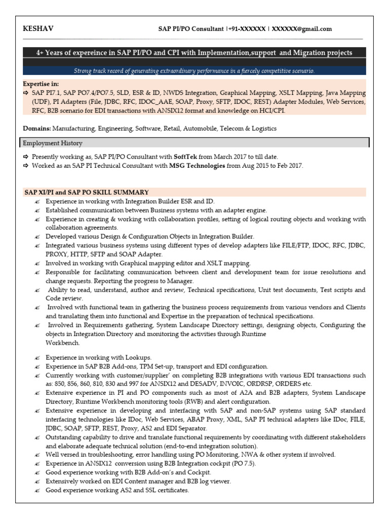 Keshav 4 years of experience in sap pipo with b2b pdf electronic