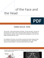 2) Vessels of The Head and The Face