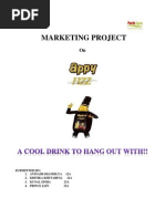 Download AppyFizz_ProjectReport by kritika_khetarpal SN68020732 doc pdf