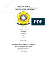 Laporan Hasil Observasi Posyandu Pemberi