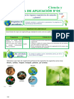 2° Ficha-S4-Exp.6-Cyt