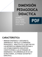 Dimension Pedagogica Didactica
