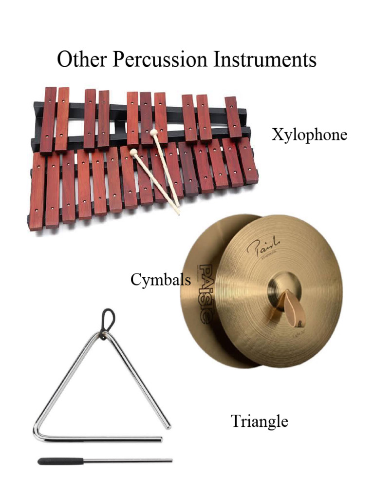 Other Percussion Instruments PDF