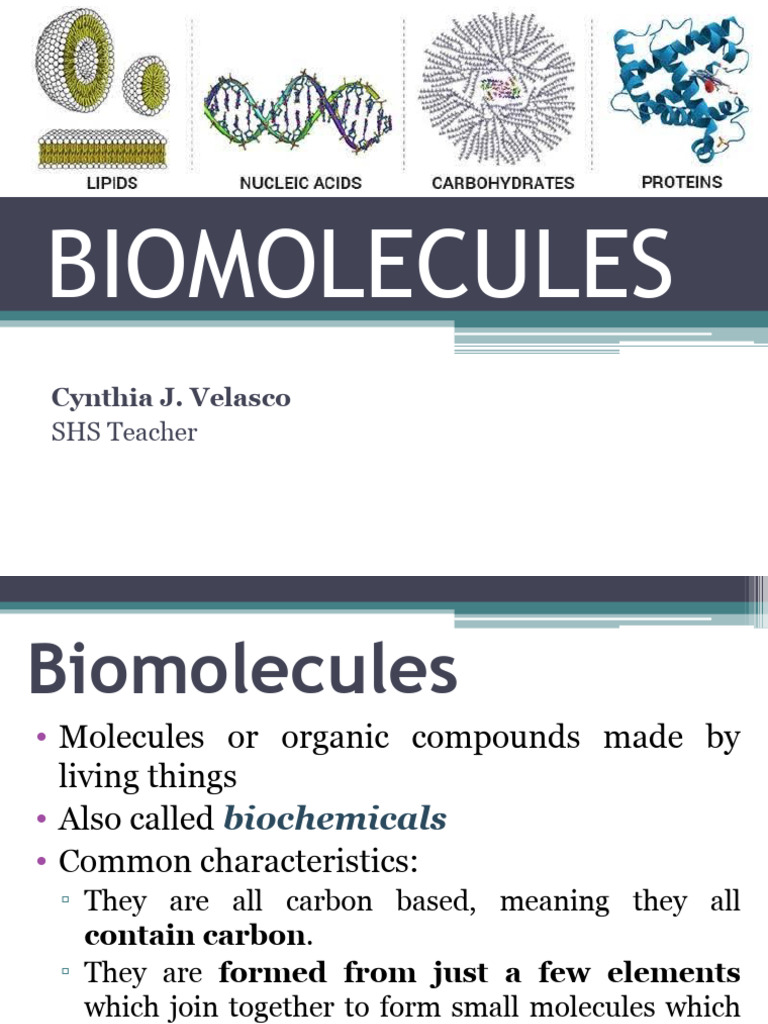 4 Biomolecules PDF Carbohydrates Biomolecules