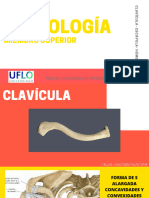 Guía Osteología Cintura Escapular