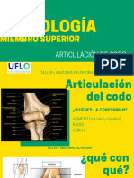 Guía Osteología Codo