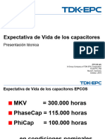 06-TDK-EPC Expectativa de Vida OCT2010-ESP