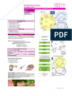 Para311lec (W7)