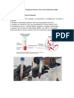 Informe - Laboratorio 6