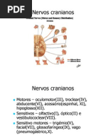 Aula Nervos Cranianos