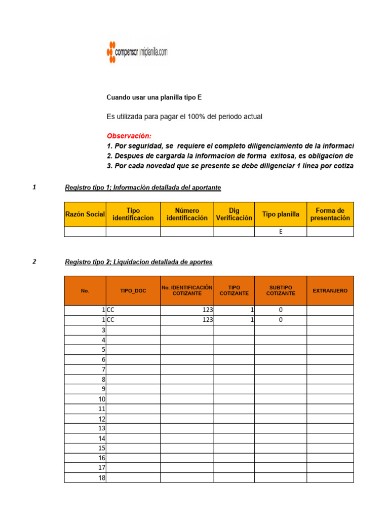 Uso de la Planilla Tipo E en Aportes | PDF