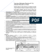 Guia Electivo #3 Contracci+on Miuscular y Vision