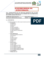 Informe Estructural Panao