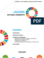 Aula Tratados e Acordos Internacionais em Meio Ambiente