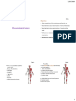 Musculoskeletal System: Cont