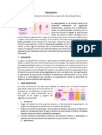 Resumen - Organogénesis