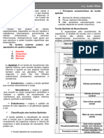 Histologia Resumen Completo