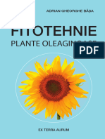 Fitotehnie Plante Oleaginoase