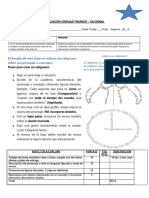 5° (Adec) Caligrama - C