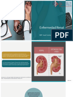 Enfermedad Renal Crónica