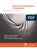 Valoracion de Intangibles, Maracas y Patentes