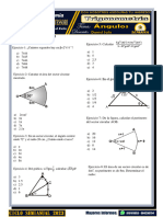 Trigo - S2 - Ciclo Virtual Desde Cero - Real Montessori