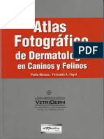 Atlas Fotografico de Dermatologia en Caninos y Felinos - Manzuc