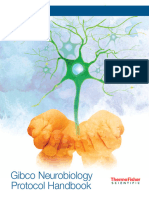 Gibco Neurobiology Protocol Handbook