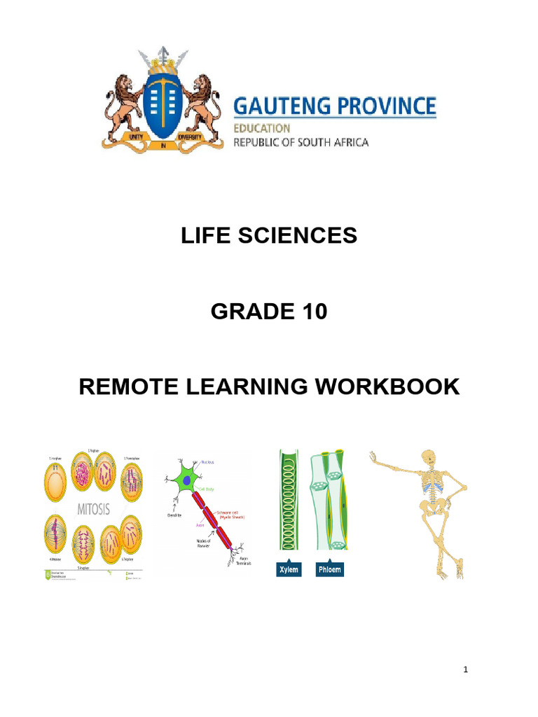 Term 3 Life Science Remote Learning Booklet PDF Leaf Mitosis