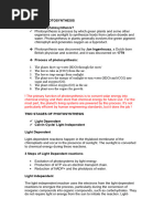 Photosynthesis (Handouts)