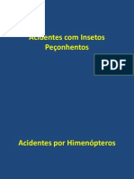 Acidentes Com Insetos Peçonhentos