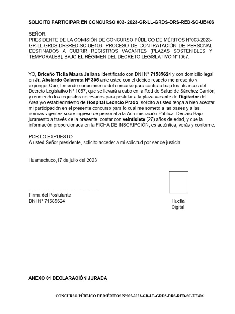 Solicito Participar en Concurso 003 | PDF