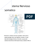 SNS Gene