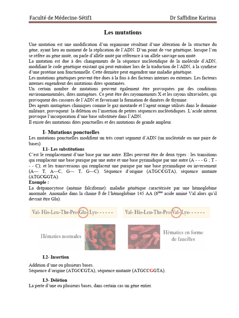 Types et exemples de mutations génétiques | PDF | Ploïdie | Mutation