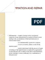 Inflammation and Repair