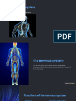 The Nervous System