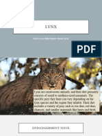 Presentation Animal Linces