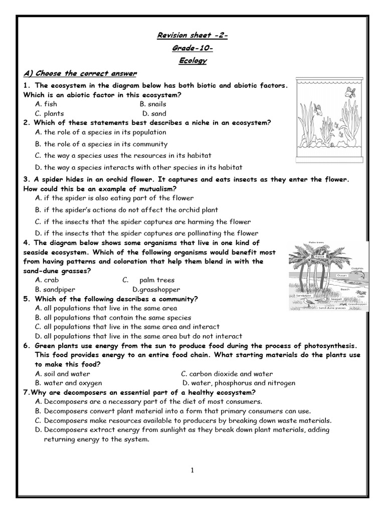 Revision Sheet - Docx-2 | PDF | Ecosystem | Forests