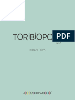 Brochure Toribio Polo 322