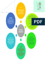 Sindrome Metabolico