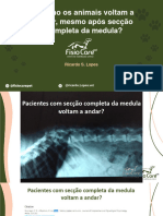 Como Os Animais Voltam A Andar Mesmo Após Secção C - 231026 - 192228