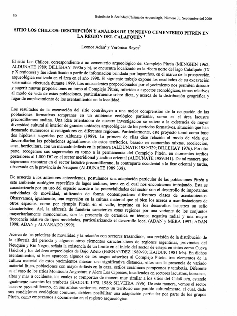 ad-n-l-reyes-v-2000-sitio-los-chilcos-descripci-n-y-an-lisis