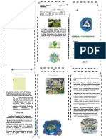 Ciencia Y Ambiente: "Año de La Promoción de La