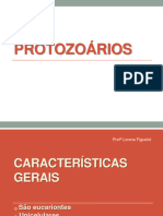 PROTOZOÁRIOS