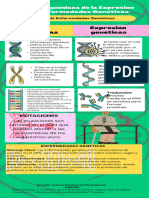 Infografía Comparación Bloques Llamativo Verde