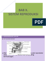 Sistem Reproduksi